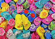 Fancy Feet Photograph by Carole Gordon