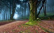 Fantasy Photograph by Jorge Maia