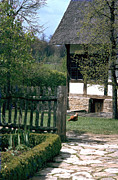 Farm Photograph by Flavia Westerwelle
