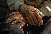 Farm Hands Photograph by Craig J Satterlee