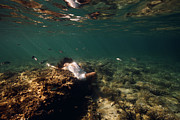 Fashion Mermaid Photograph by Gemma Silvestre