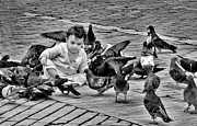 Feathered Friends Photograph by Jessica Levant