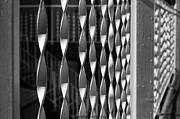 Fence Song  Photograph by Lora Lee Chapman