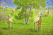 Field Of Baby Goat Dreams Digital Art by Joel Bruce Wallach