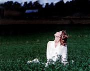 Field Of Dreams Photograph by DArcy Evans Field Of Dreams Photograph by DArcy Evans
