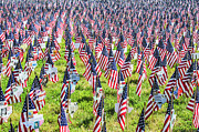 Field of Freedom Photograph by Jeff at JSJ Photography