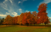 Fiery Colors Photograph by Arnold Hence