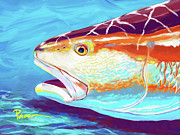 Fire and Ice Digital Art by Kevin Putman