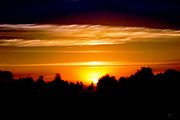 Fire Sky Sunrise Photograph by DB Hayes