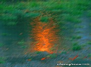 Fire Water Digital Art by Vincent Green