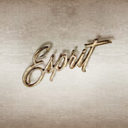 Firebird Esprit Chrome Emblem Photograph by YoPedro