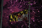 Fireworks and the Maryland Flag Photograph by Robert Banach Fireworks and the Maryland Flag Photograph by Robert Banach