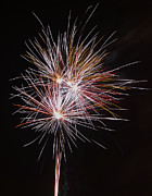 Fireworks Midnight Dandelion Photograph by Scott Lyons Fireworks Midnight Dandelion Photograph by Scott Lyons