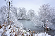 First Snow Photograph by Kathi Mirto