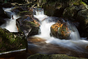 first spring sunlight on the Warme Bode, Harz Photograph by Andreas Levi