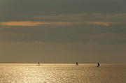 Fishing at Dusk Photograph by Werner Padarin Fishing at Dusk Photograph by Werner Padarin