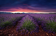 Flame of doubt Photograph by Jorge Maia