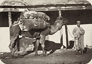 FLAT CAKES VENDOR, c1870 Photograph by Granger