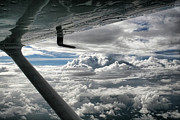 Flight of Dreams Photograph by Patricia Montgomery