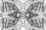 Flooring Drawing by Daniel Rustad