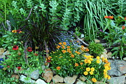 Floral Happiness Photograph by Allen Nice-Webb