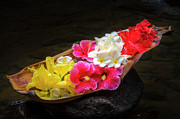 Flower Boat Photograph by Daniel Murphy Flower Boat Photograph by Daniel Murphy