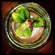 Flower In A Bowl At The Western House Photograph by Gary Hall