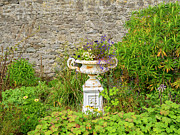 Flowers Photograph by Jim Orr