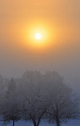 Foggy Morning in Montana's Gallatin Valley Photograph by Bruce Gourley