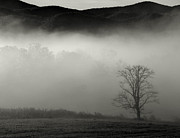 Foggy Mountain-Tennessee Photograph by Chuck Brown
