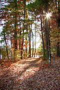 Follow The Path Photograph by Jeff Folger