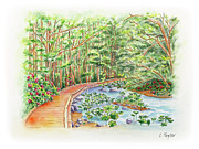 Footbridge Painting by Lori Taylor