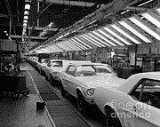 Ford Mustangs On Assembly Line, C.1960s Photograph by H. Armstrong Roberts/ClassicStock Ford Mustangs On Assembly Line, C.1960s Photograph by H. Armstrong Roberts/ClassicStock
