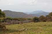 Forest Highlands Photograph by Allen Nice-Webb