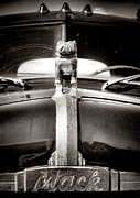 Forever Mack Photograph by Olivier Le Queinec Forever Mack Photograph by Olivier Le Queinec