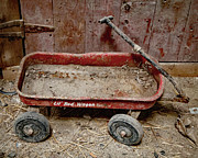 Forgotten Lil Red Wagon  Photograph by Kevin Anderson