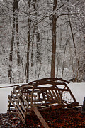 Forgotten lobster trap Photograph by Jeff Folger