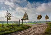Four on the crossroads Photograph by Dmytro Korol