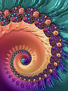 Fractal spiral orange purple cadetblue Digital Art by Matthias Hauser Fractal spiral orange purple cadetblue Digital Art by Matthias Hauser