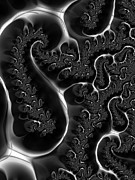 Fractal veins black and white Digital Art by Matthias Hauser