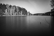 Frankenteich - b/w version Photograph by Andreas Levi