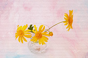 Fresh From The Garden Photograph by Diane Macdonald