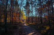 From the Shadow to the Light Photograph by Dmytro Korol