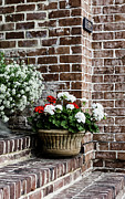 Front Porch with Flower Pots Photograph by Kim Hojnacki Front Porch with Flower Pots Photograph by Kim Hojnacki