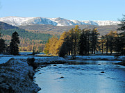 Frost in the Glen - Invercauld - Scotland Photograph by Phil Banks