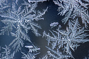 Frost Series 10 Photograph by Mike Eingle