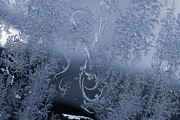 Frost Series 5 Photograph by Mike Eingle