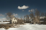 Frozen Stillness Photograph by Scott Norris