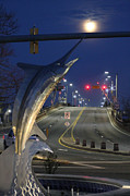Full Moon Over 50 Photograph by Robert Banach