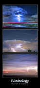 Fulminology Photograph by James BO Insogna